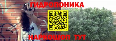 молекула духа Ливны