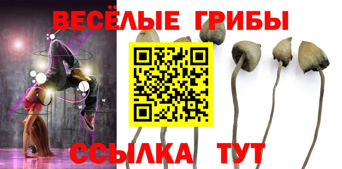 сколько стоит  Вход с VPN  Псилоцибиновые грибы ЛСД  Щёлково  Галлюциногенные грибы Psilocybine cubensis 