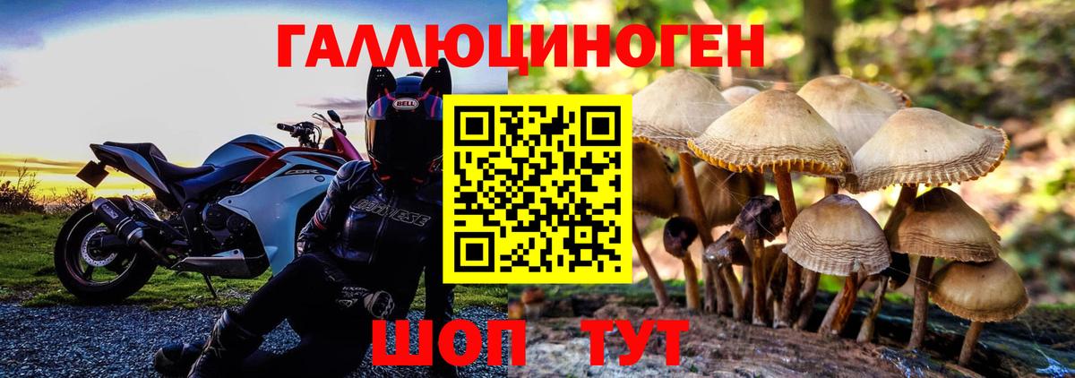 Псилоцибиновые грибы GOLDEN TEACHER Щёлково